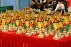 02-28-2016_hk-karate-open-2015_001_24990513819_o