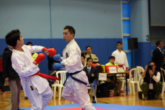 02-28-2016_hk-karate-open-2015_006_25062563410_o