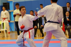 02-28-2016_hk-karate-open-2015_022_25358195935_o
