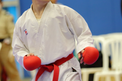 02-28-2016_hk-karate-open-2015_040_25239963842_o