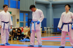 02-28-2016_hk-karate-open-2015_048_24990600309_o