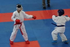 china-national-karate_17-08-16_0011_28945113982_o