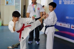 china-national-karate_17-08-16_0023_28974269981_o