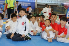 china-national-karate_17-08-16_0031_28429598034_o